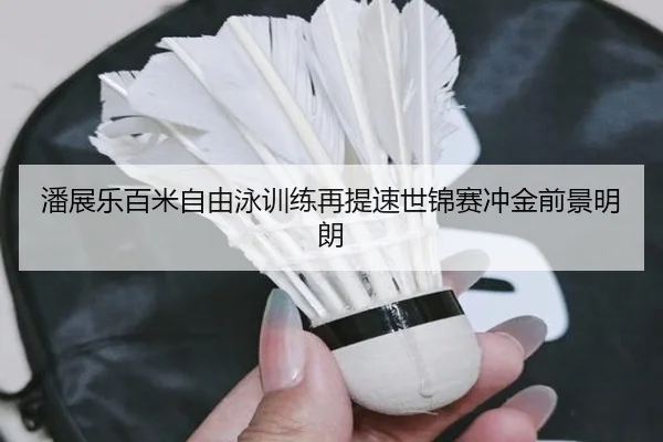 潘展乐百米自由泳训练再提速世锦赛冲金前景明朗 - XINGKONGSPORTS